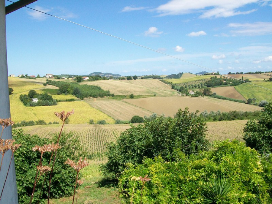 immagine annuncio 5 di 7