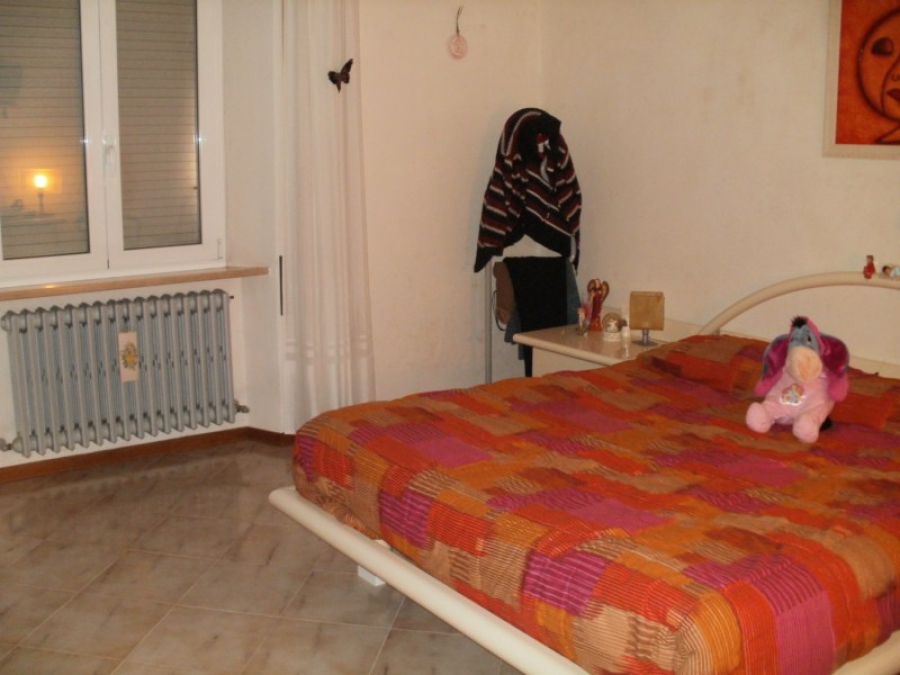 immagine annuncio 3 di 7