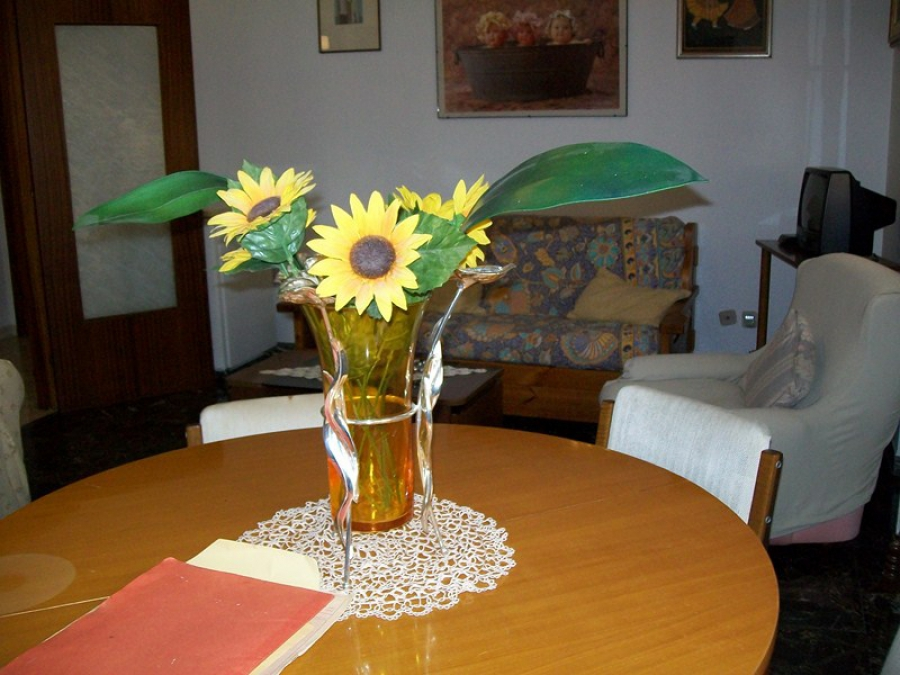 immagine annuncio 3 di 8
