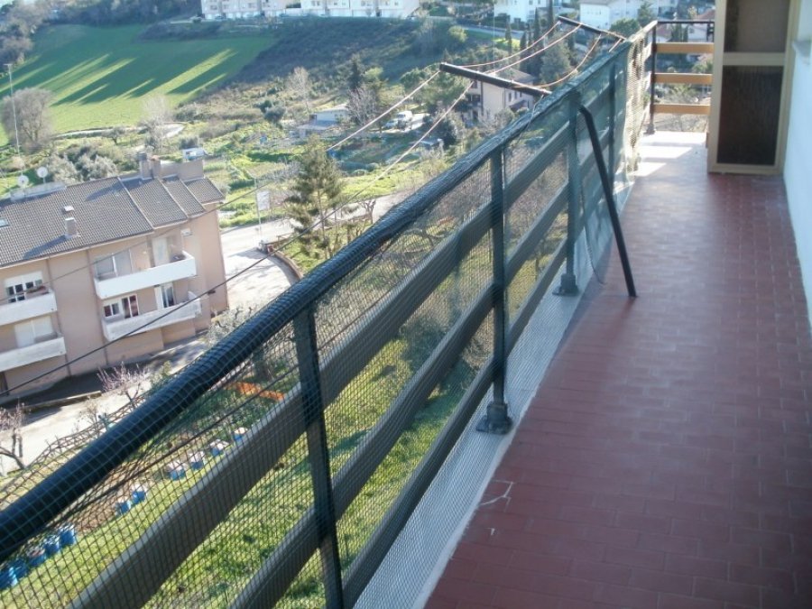 immagine annuncio 6 di 7