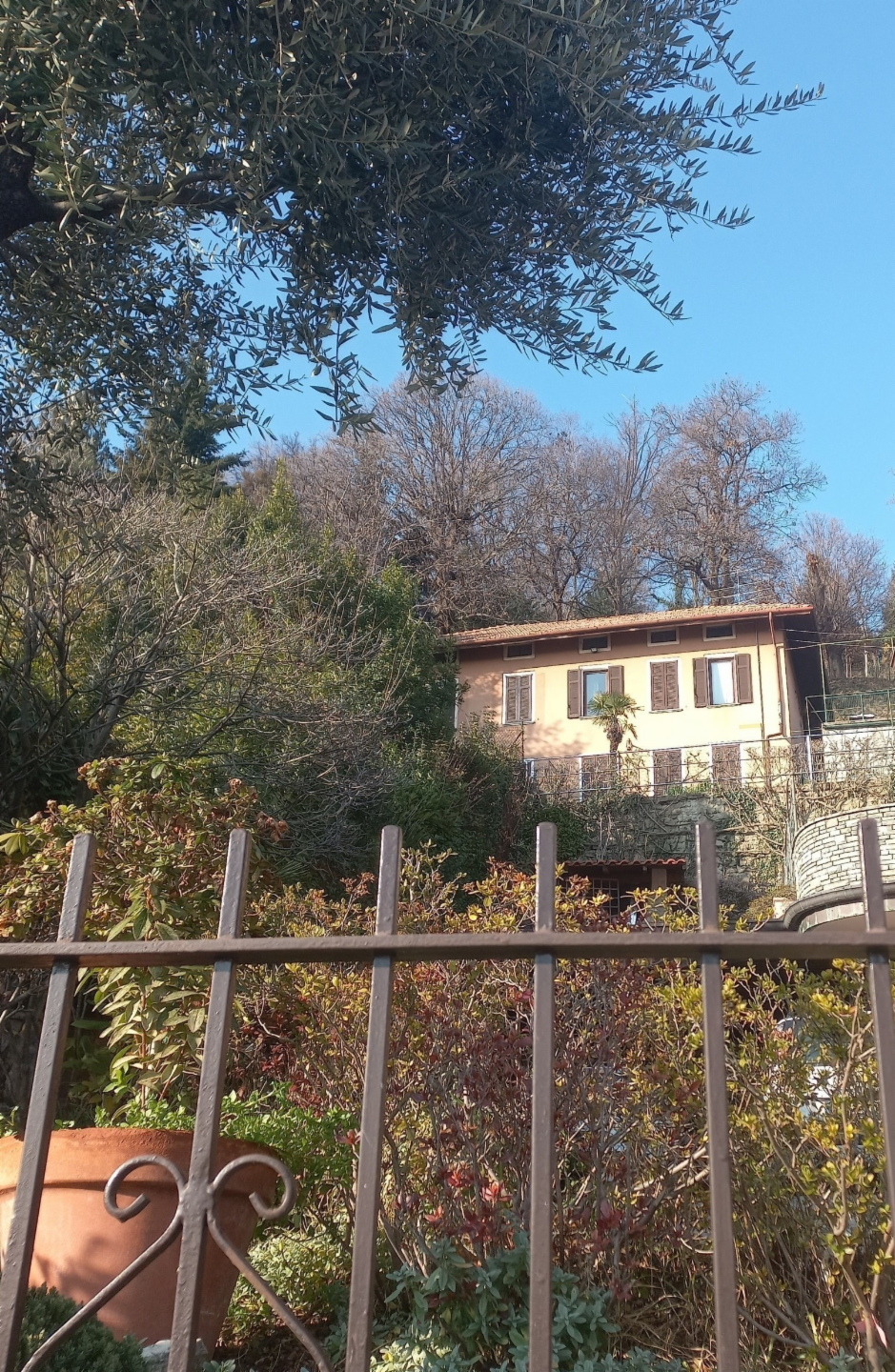 immagine annuncio 4 di 10
