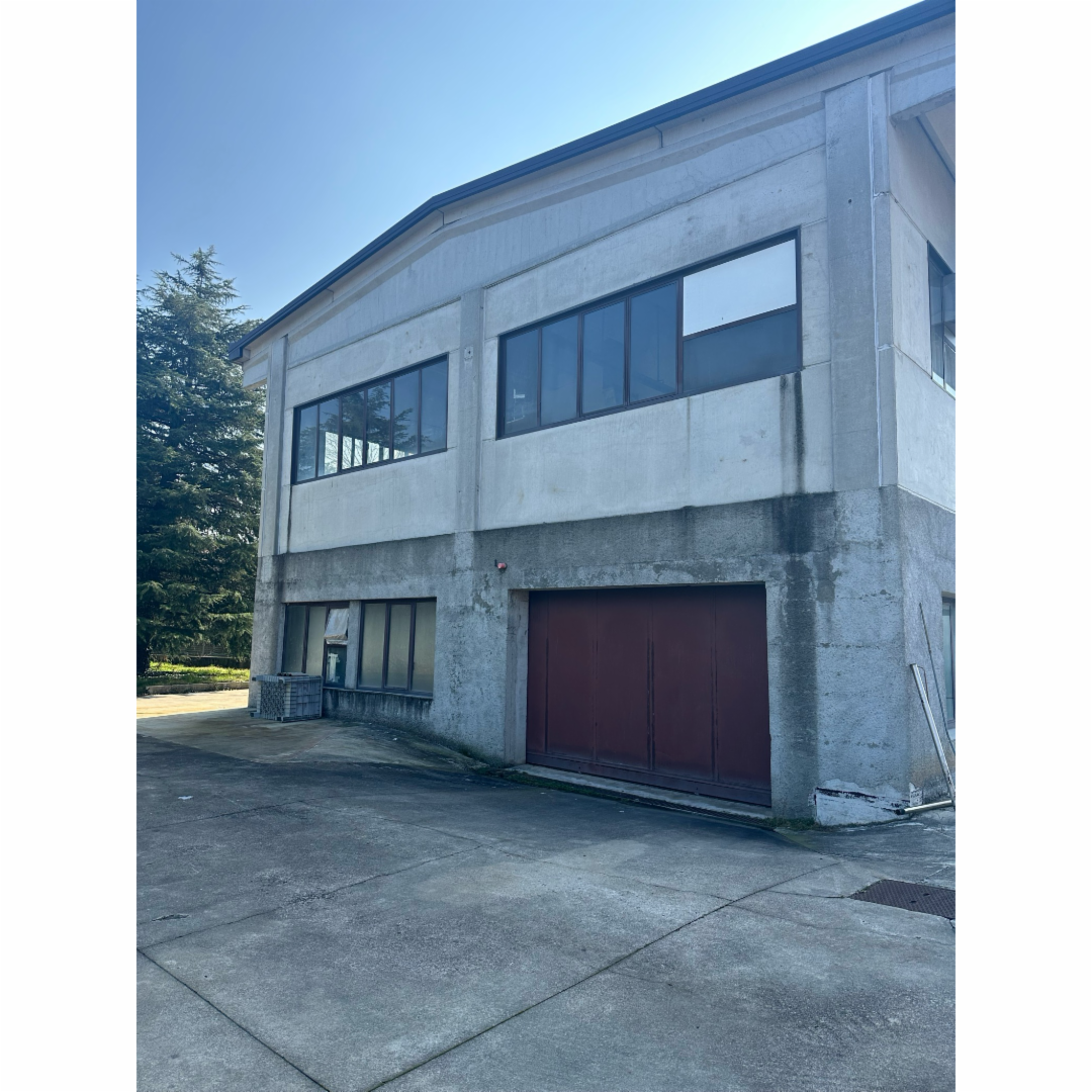 immagine annuncio 2 di 7