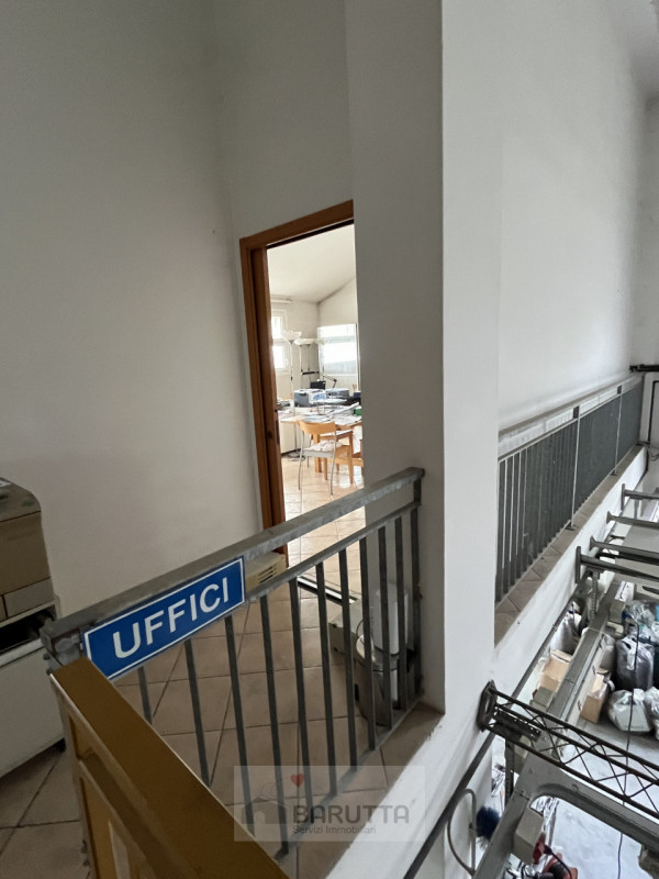 immagine annuncio 5 di 6