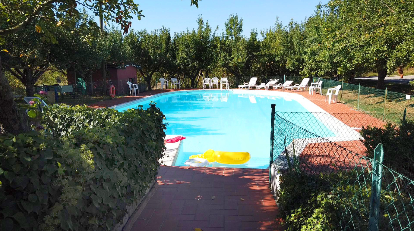 immagine annuncio 5 di 10