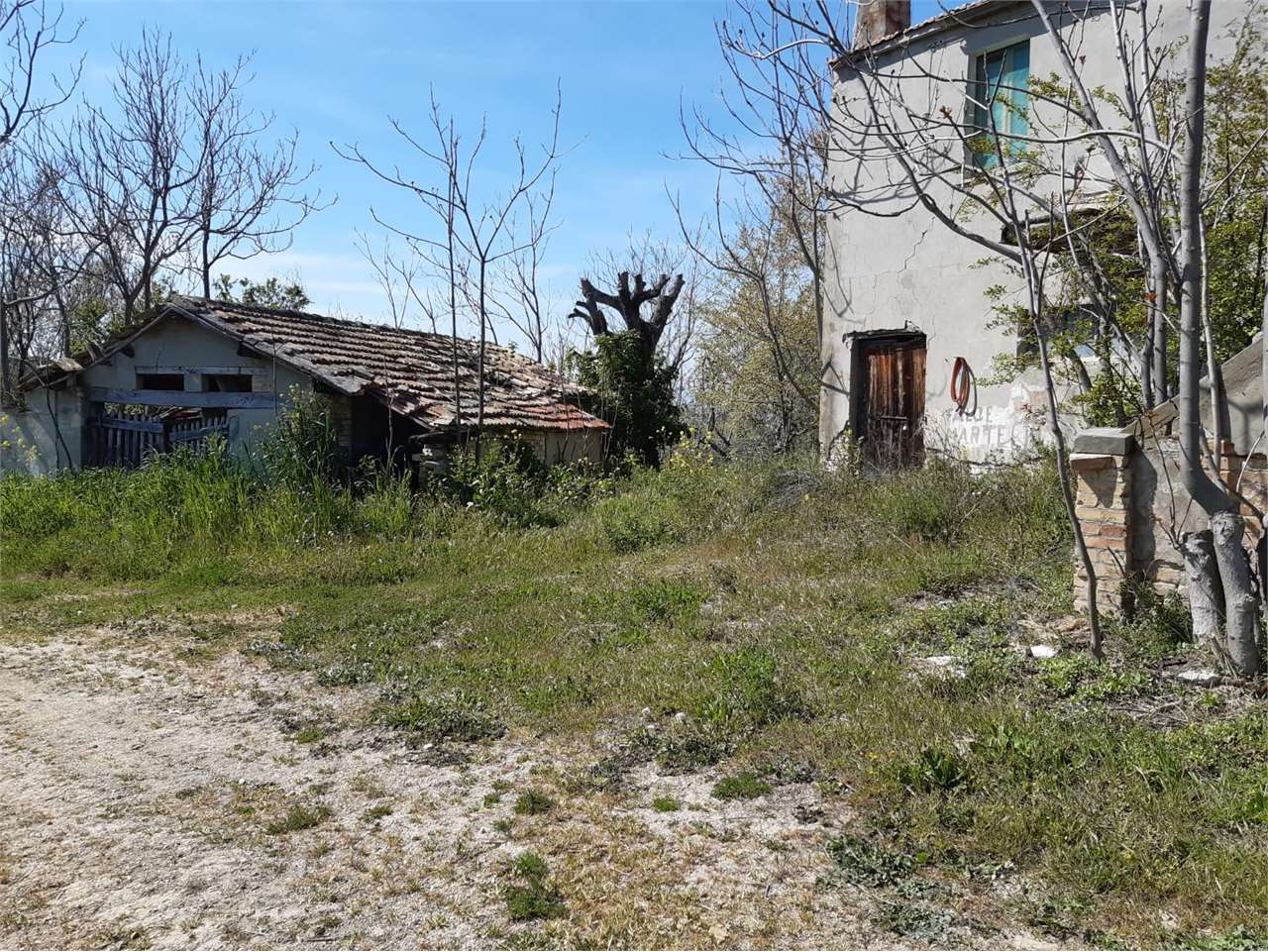 immagine annuncio 1 di 10