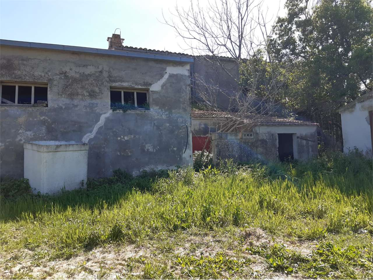 immagine annuncio 2 di 10
