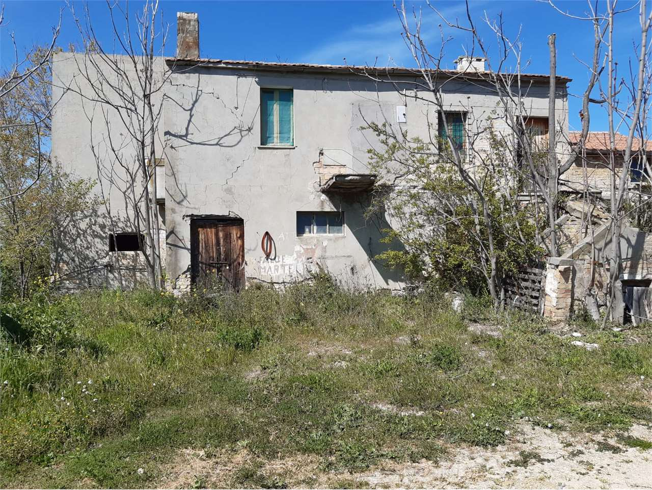immagine annuncio 5 di 10