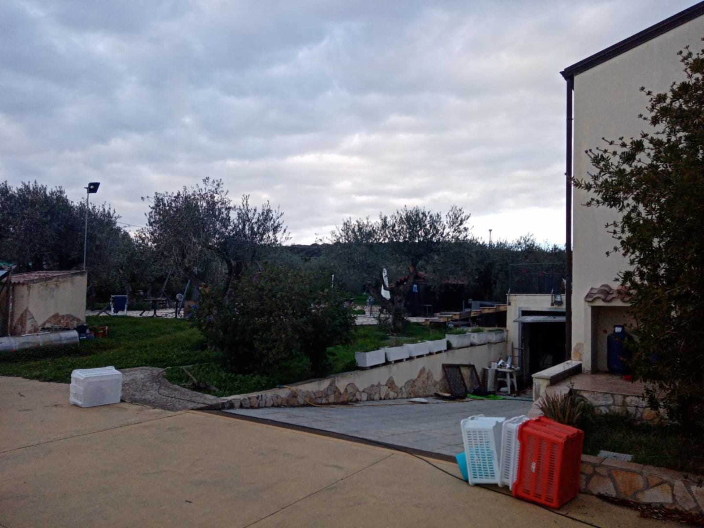 immagine annuncio 2 di 10