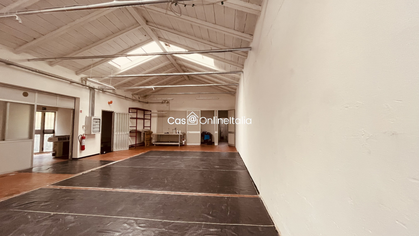 immagine annuncio 2 di 10