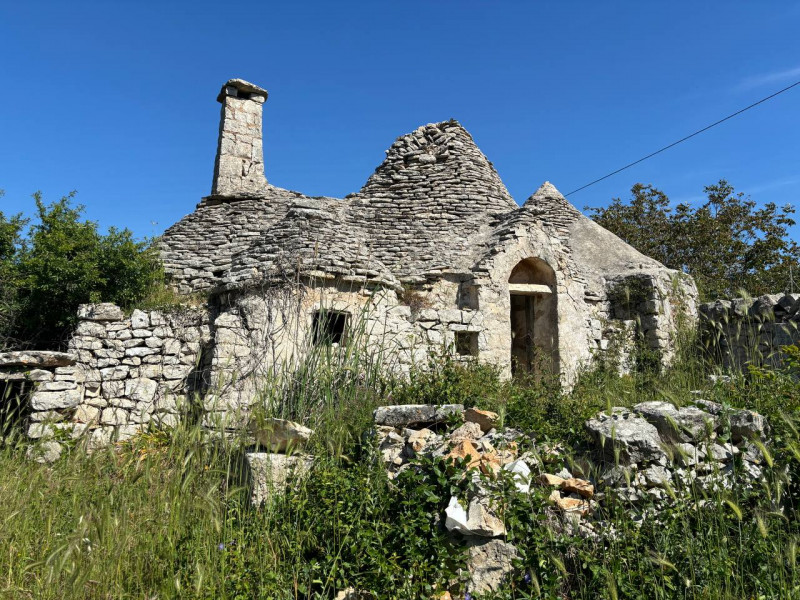 immagine annuncio 2 di 10