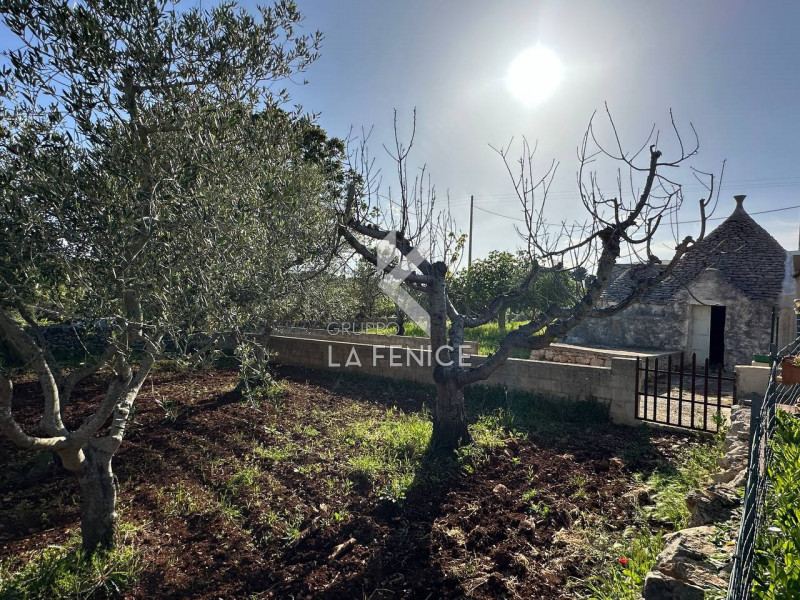 immagine annuncio 6 di 10