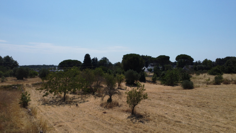 immagine annuncio 5 di 8