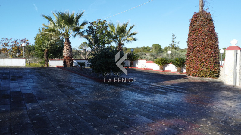 immagine annuncio 3 di 10