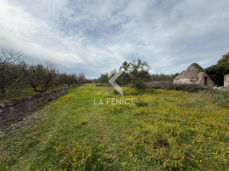 immagine annuncio 5 di 10