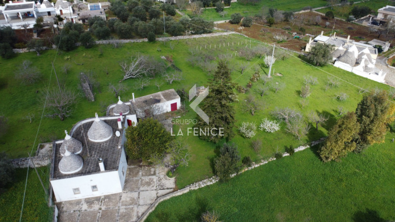 immagine annuncio 3 di 10