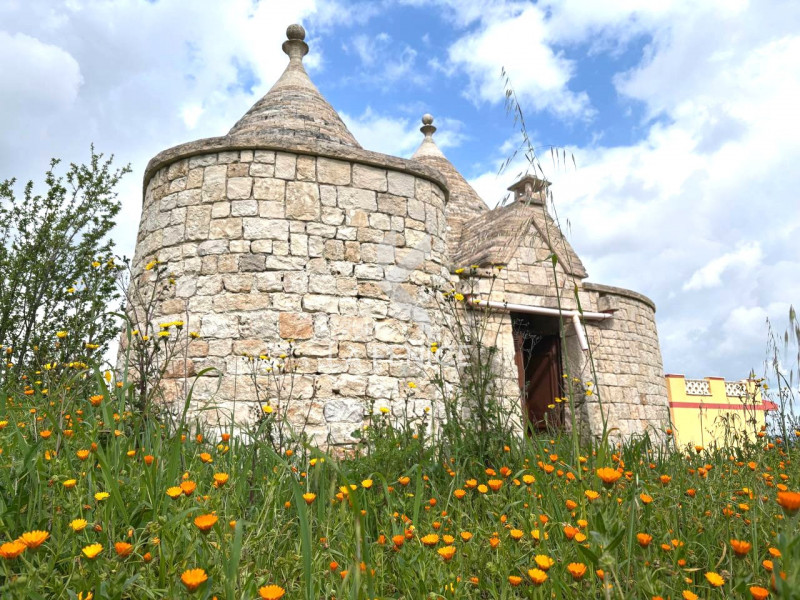 immagine annuncio 6 di 10