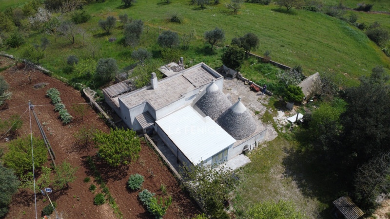 immagine annuncio 3 di 10