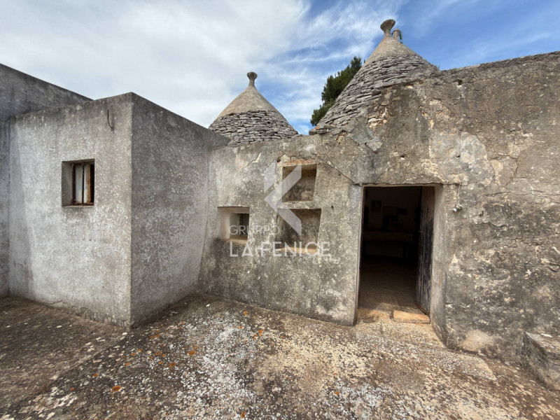 immagine annuncio 6 di 10
