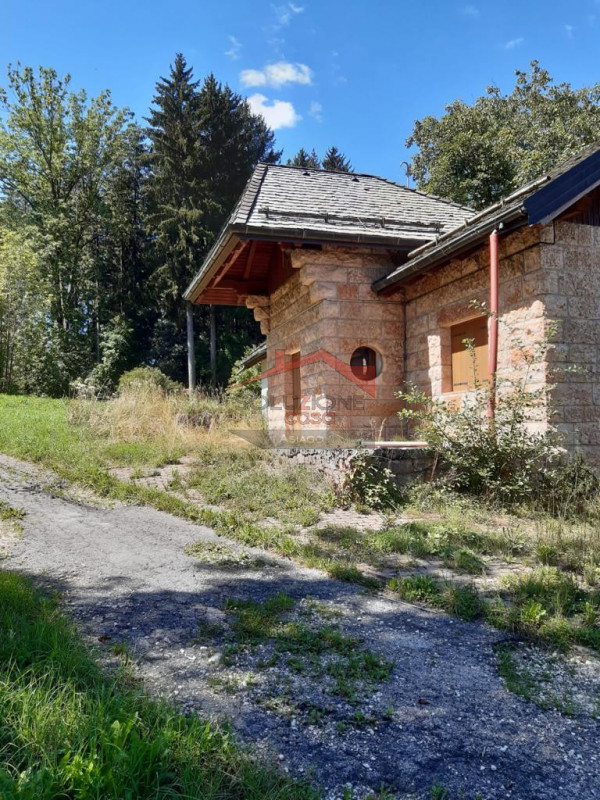immagine annuncio 5 di 6