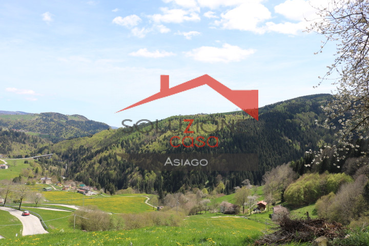 immagine annuncio 5 di 9