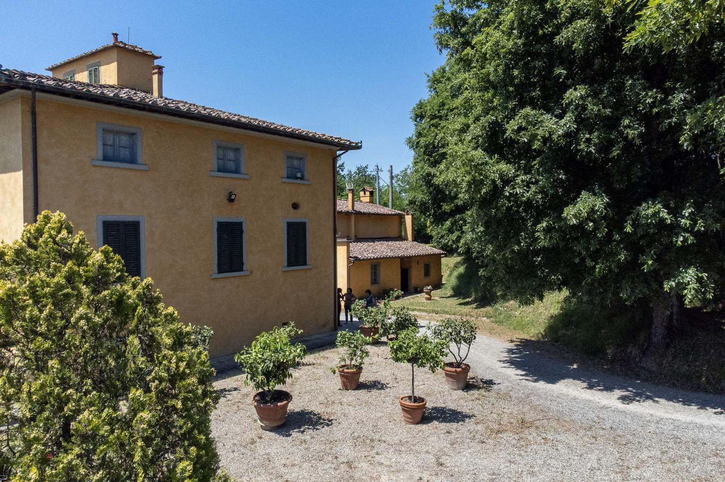 immagine annuncio 3 di 10