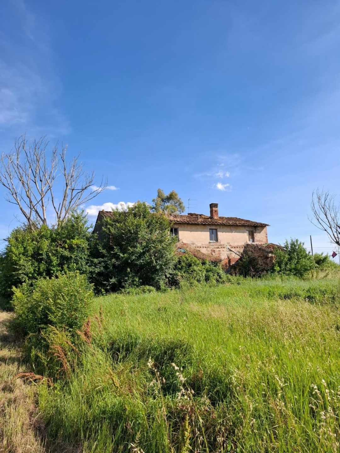 immagine annuncio 3 di 4