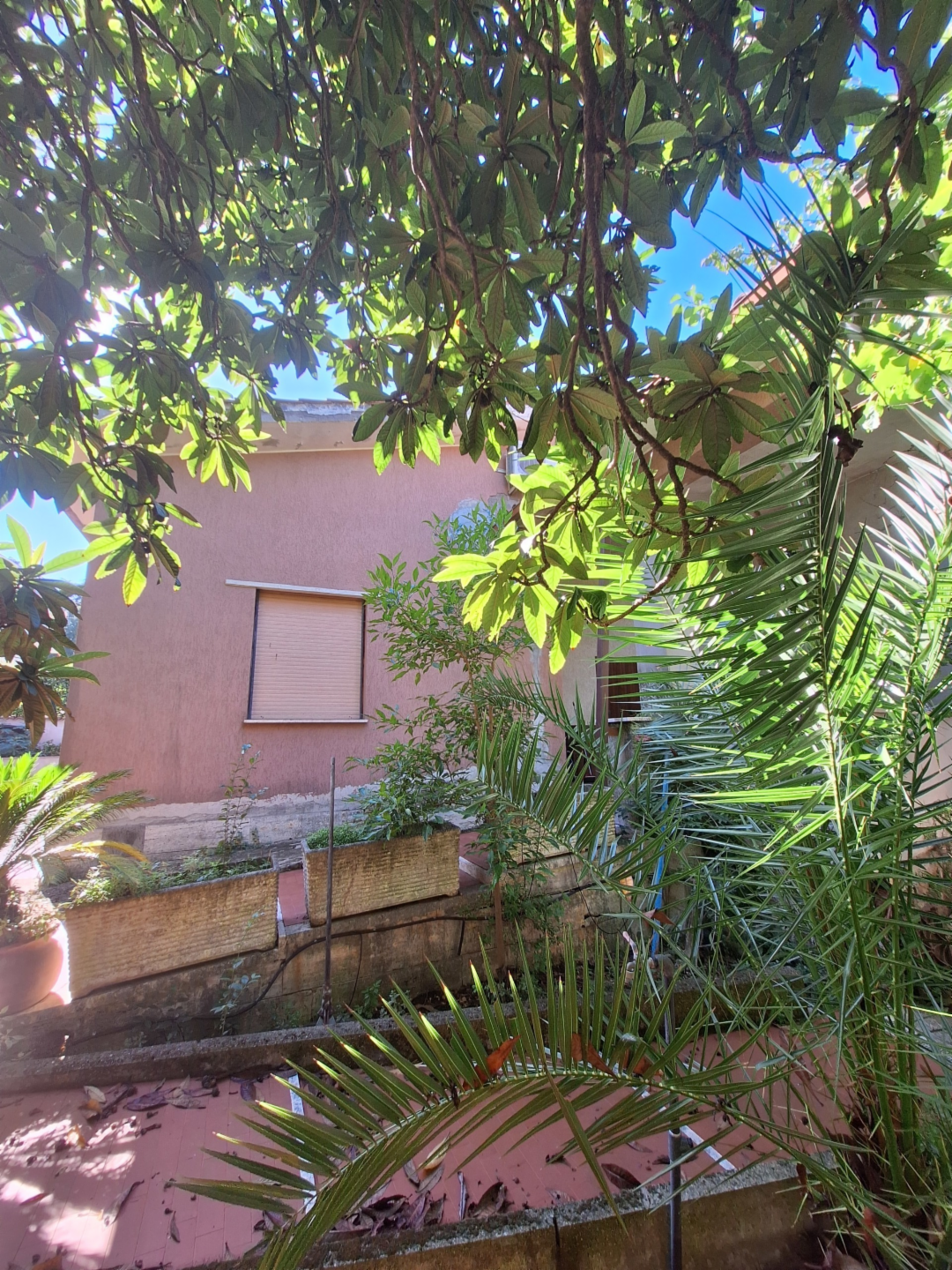 immagine annuncio 6 di 8