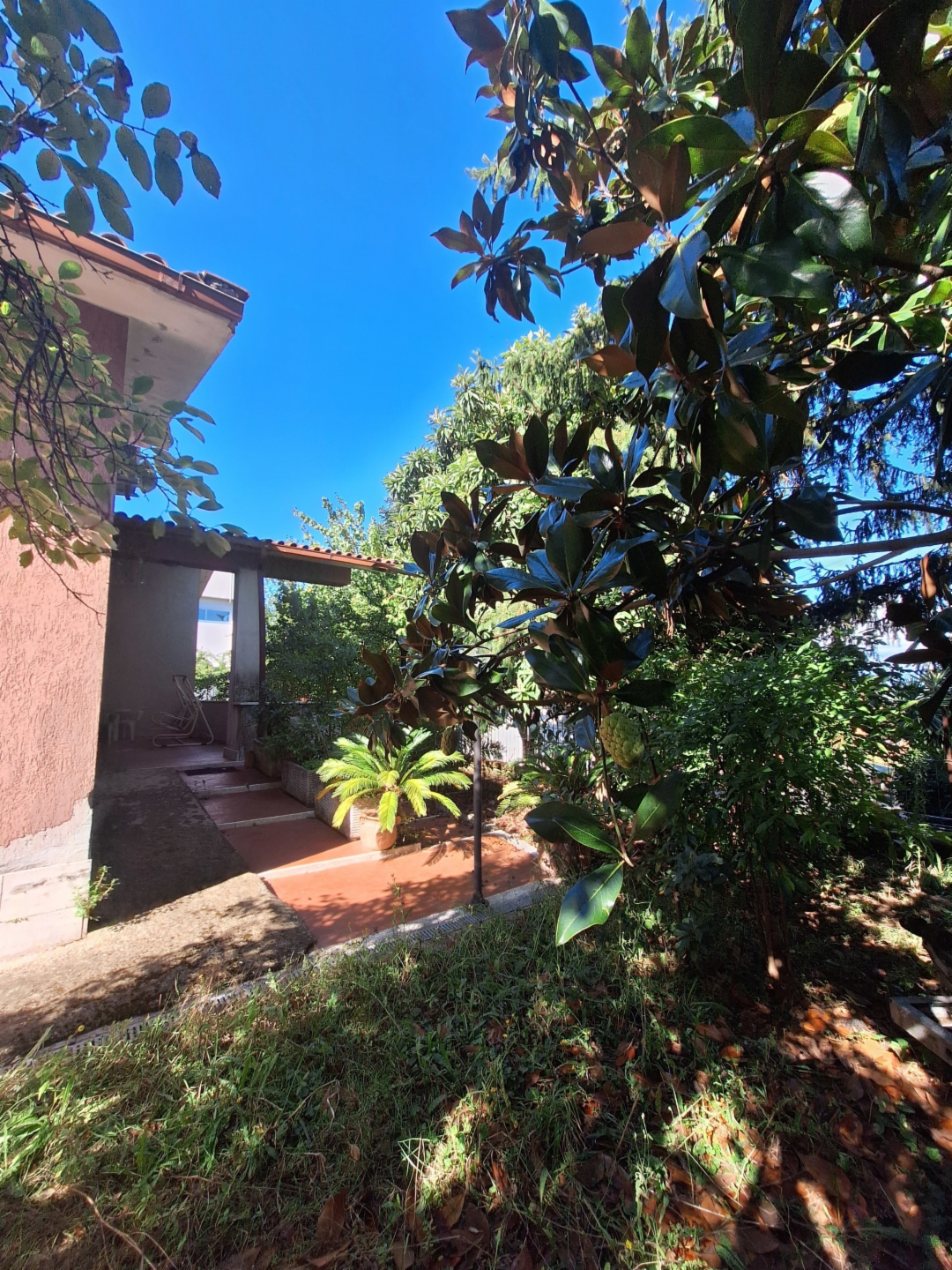 immagine annuncio 5 di 8