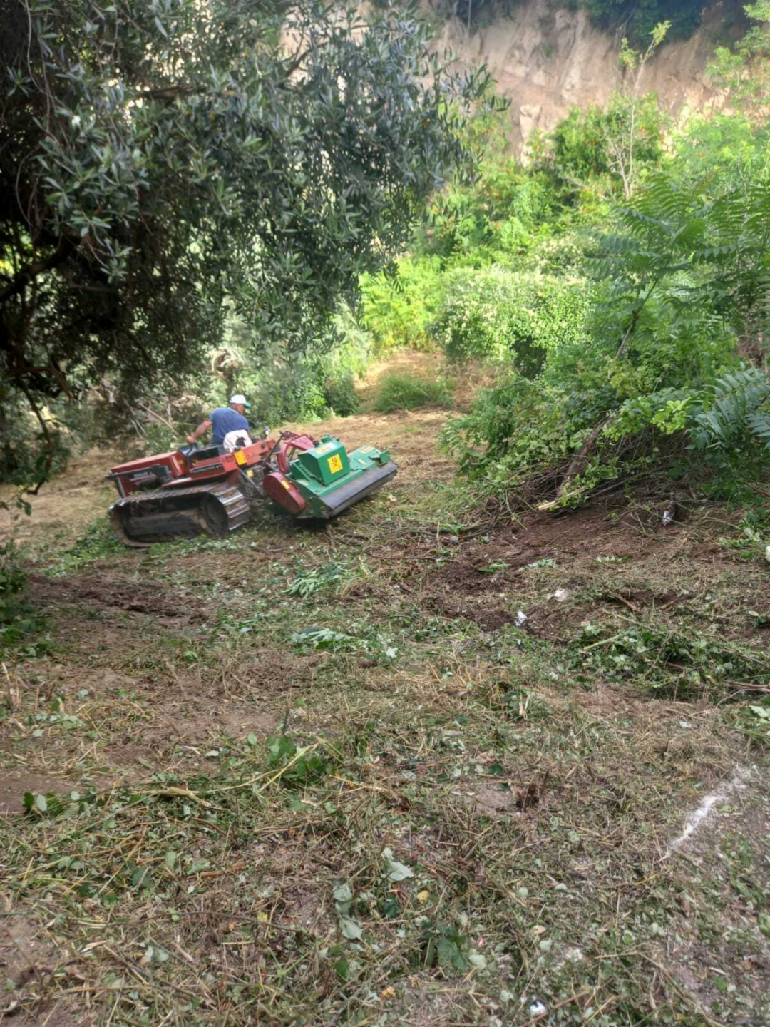 immagine annuncio 3 di 10