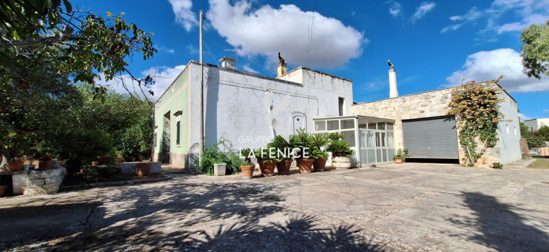 immagine annuncio 4 di 10