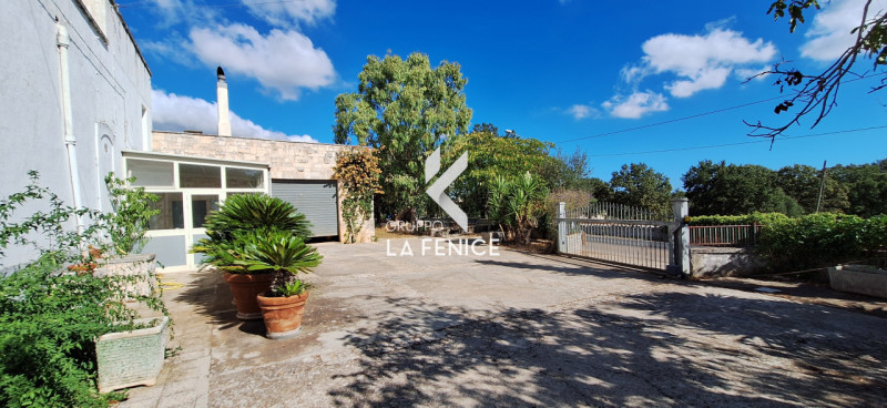 immagine annuncio 3 di 10