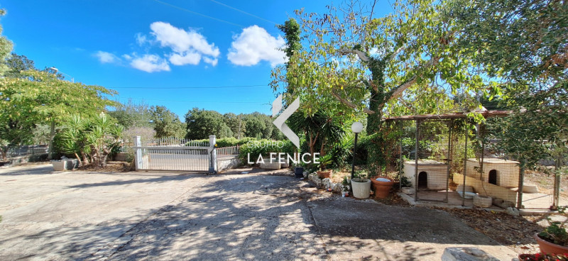 immagine annuncio 9 di 10