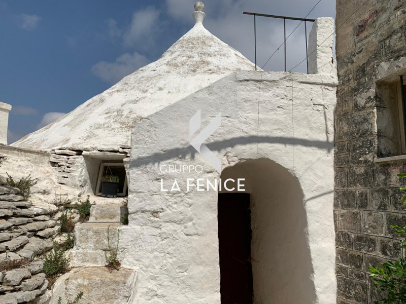 immagine annuncio 1 di 10