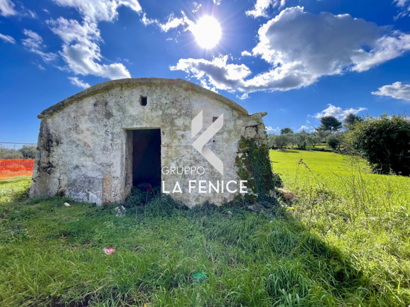 immagine annuncio 4 di 10