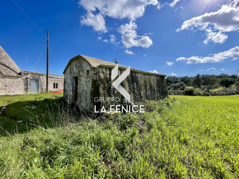 immagine annuncio 6 di 10