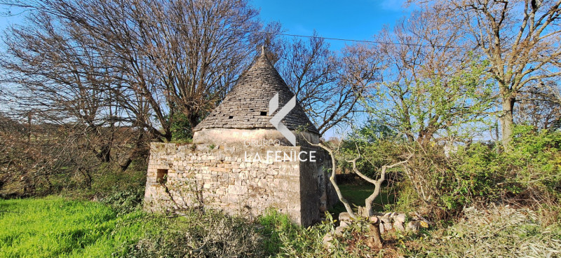 immagine annuncio 6 di 10