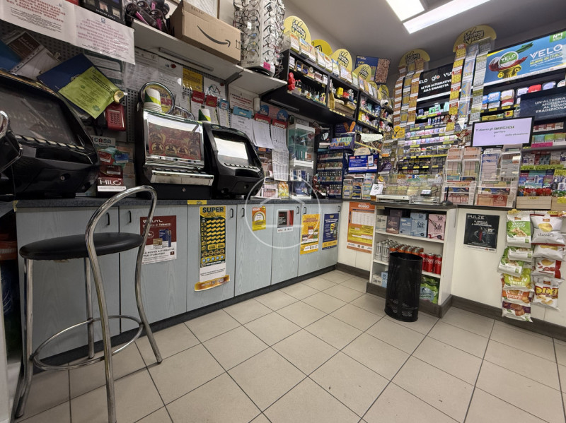 immagine annuncio 3 di 6