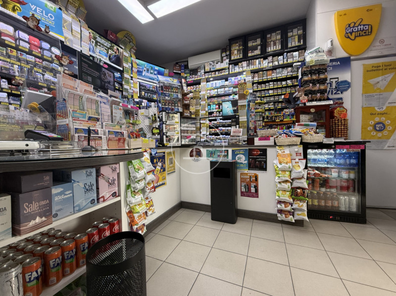 immagine annuncio 2 di 6