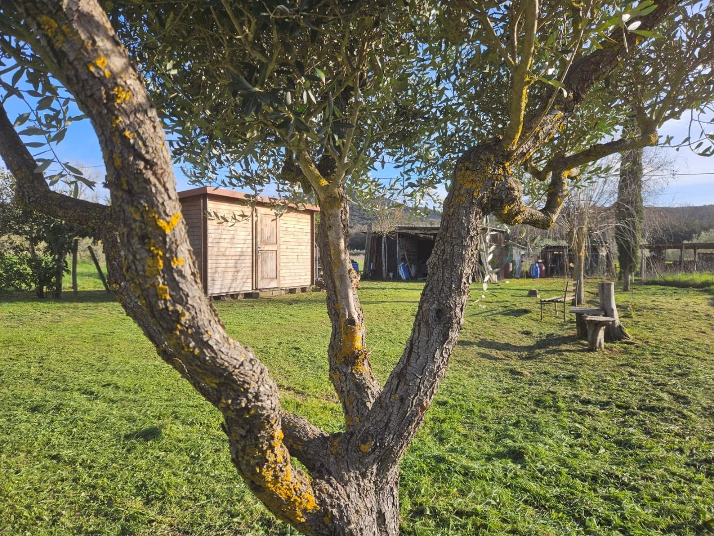 immagine annuncio 3 di 8