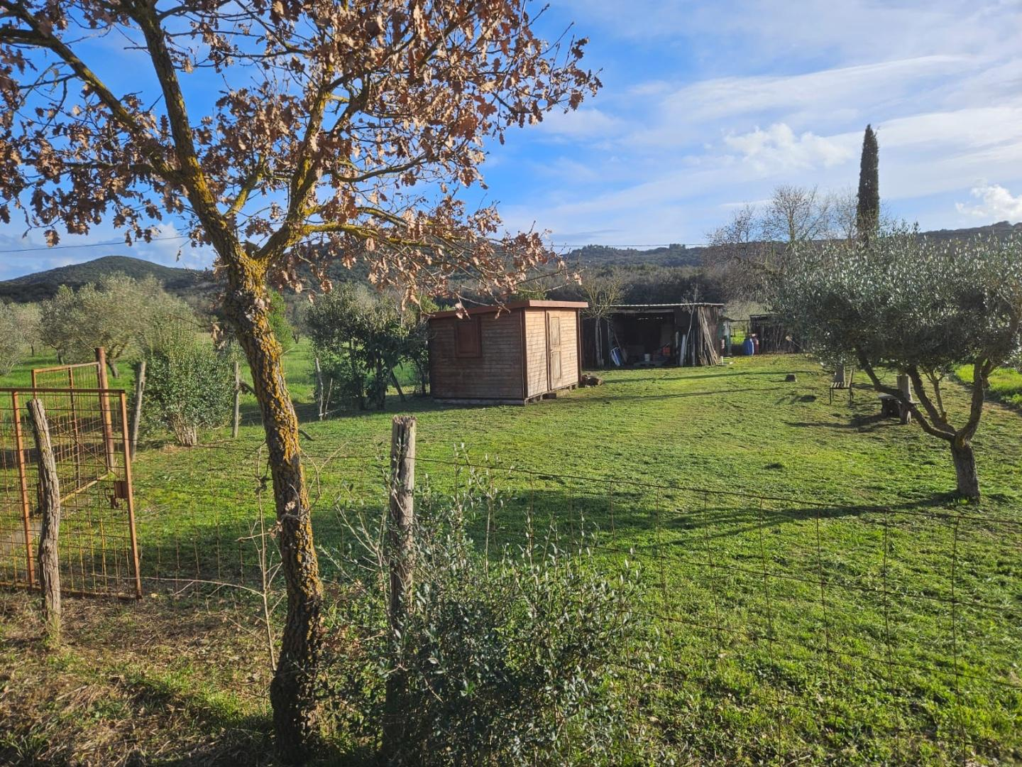 immagine annuncio 7 di 8