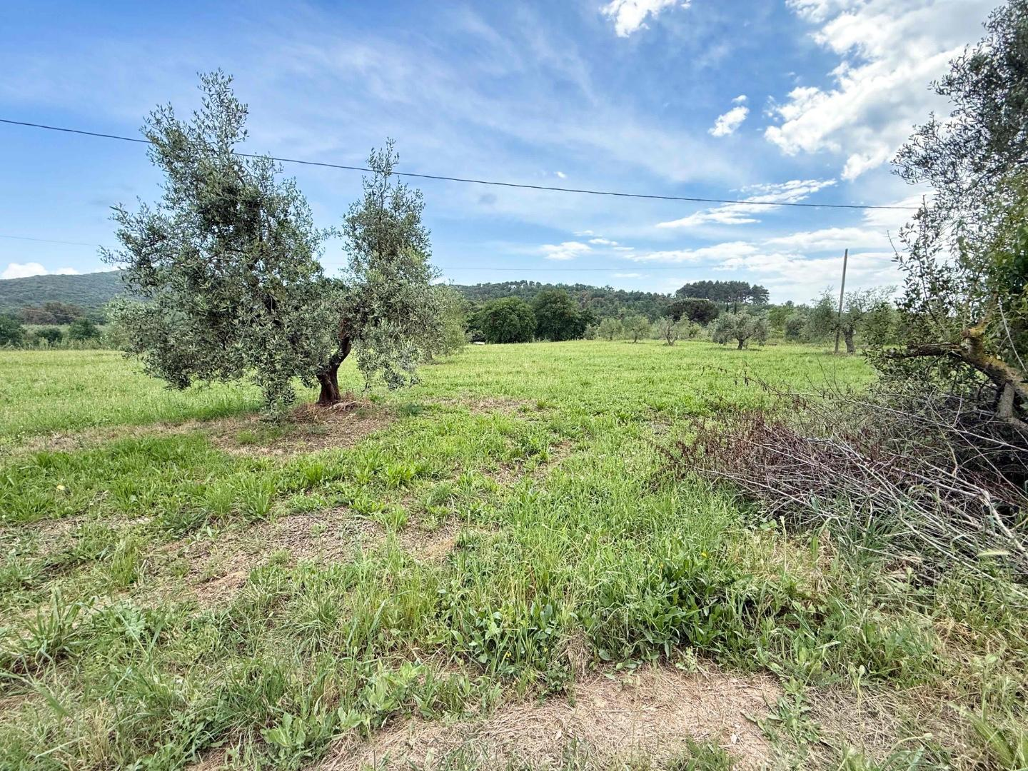 immagine annuncio 6 di 7
