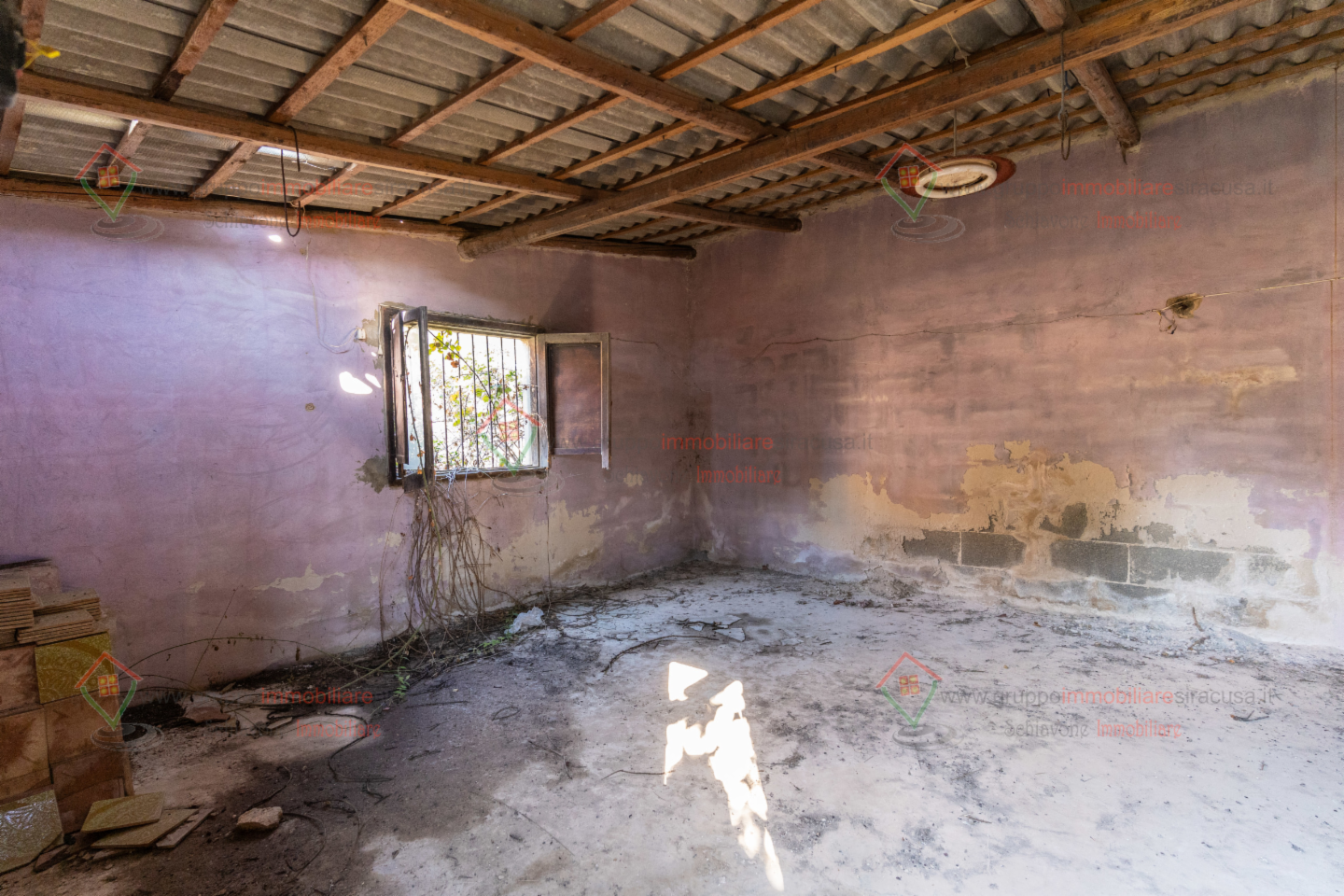 immagine annuncio 2 di 6