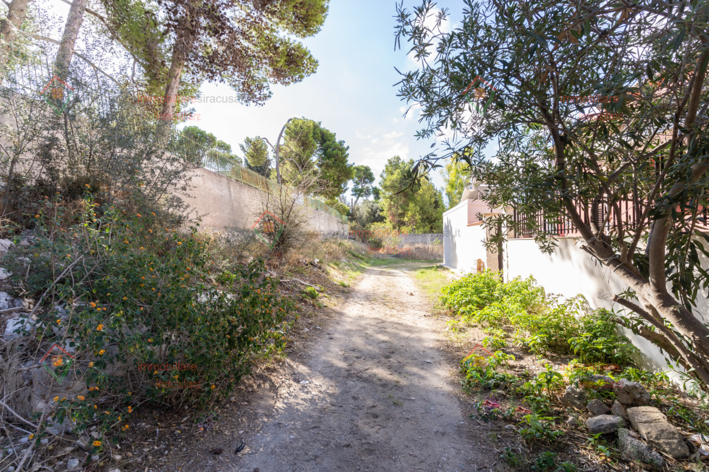 immagine annuncio 3 di 9