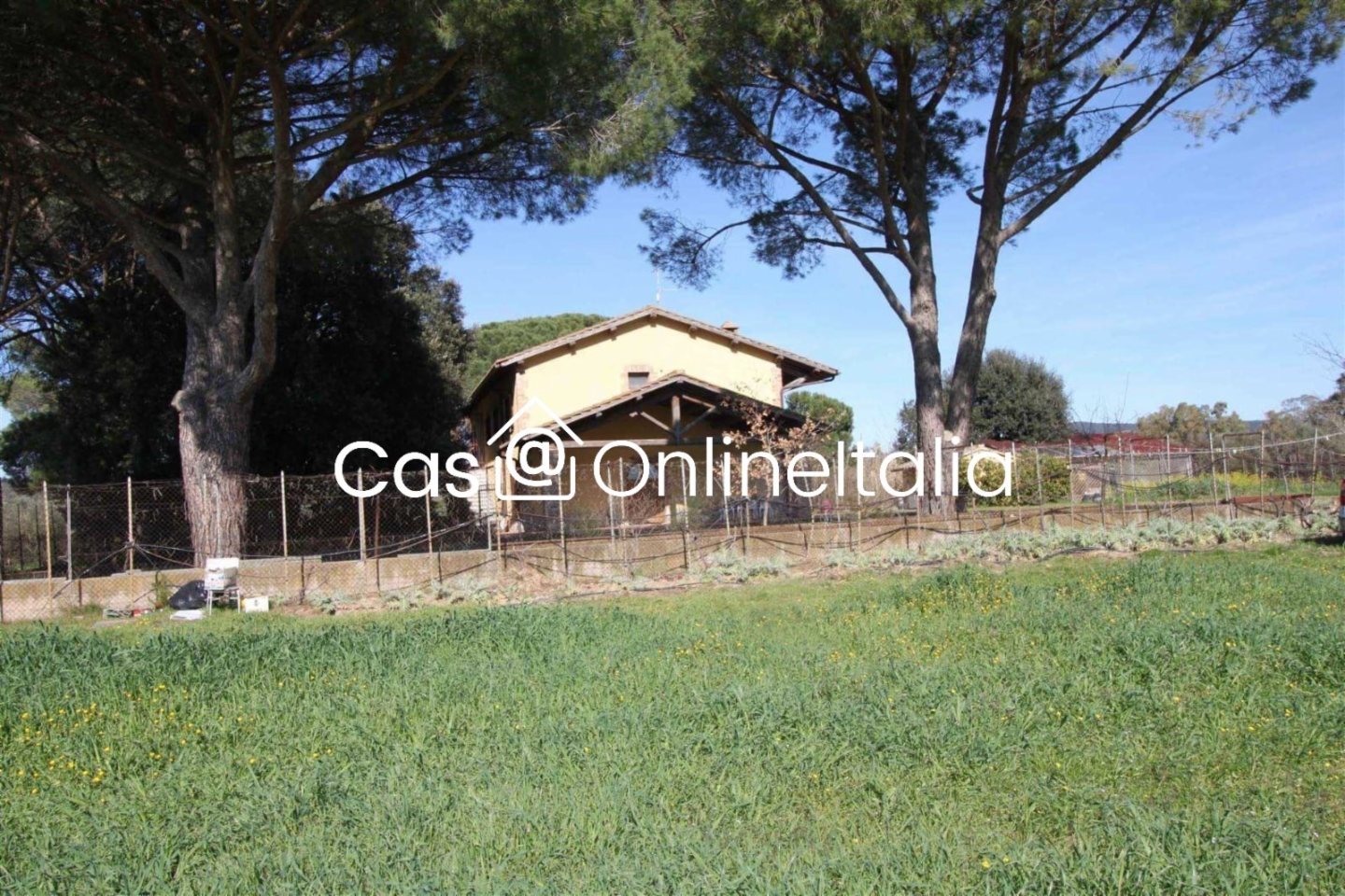 immagine annuncio 3 di 10