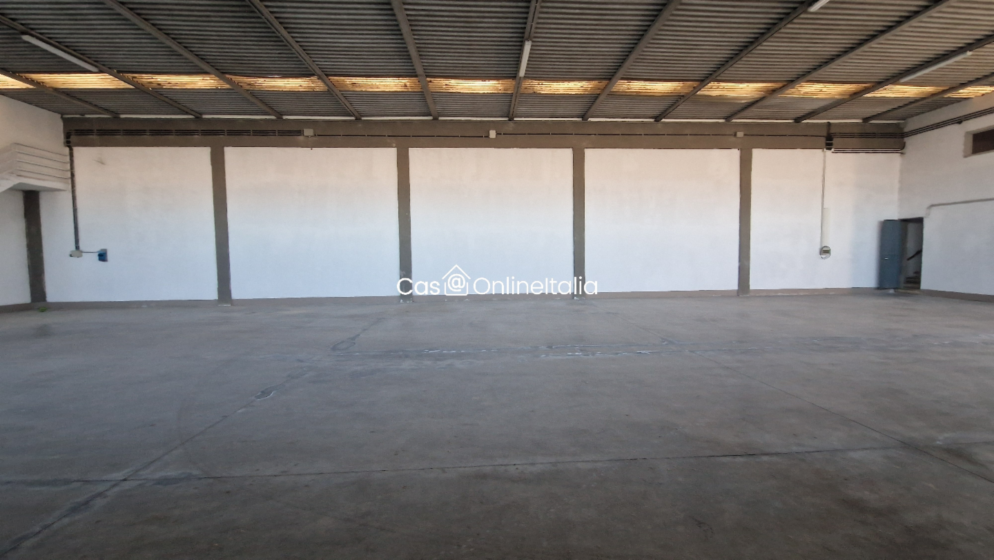 immagine annuncio 9 di 10