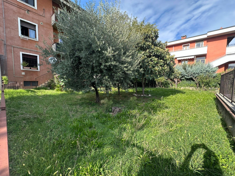 immagine annuncio 3 di 10