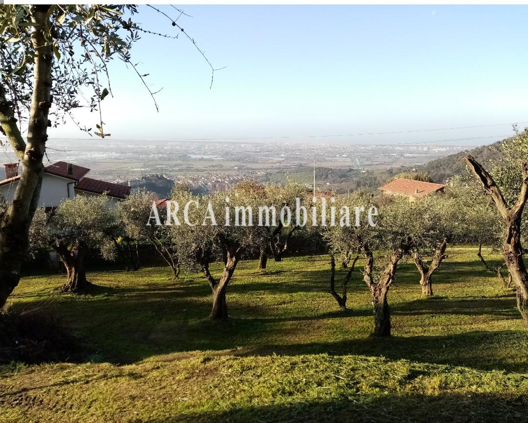 immagine annuncio 2 di 4