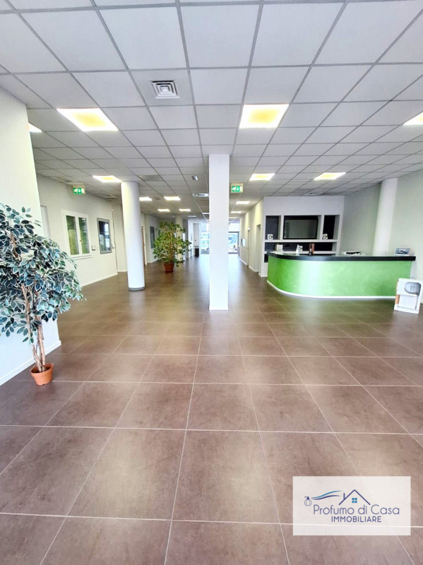 immagine annuncio 1 di 7