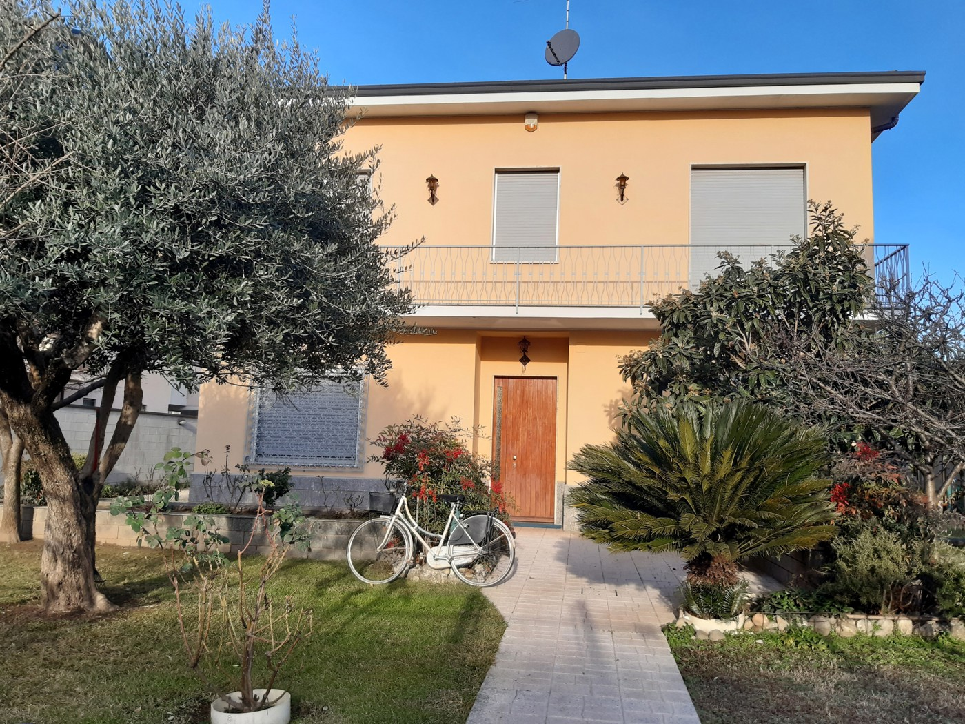 immagine annuncio 1 di 10