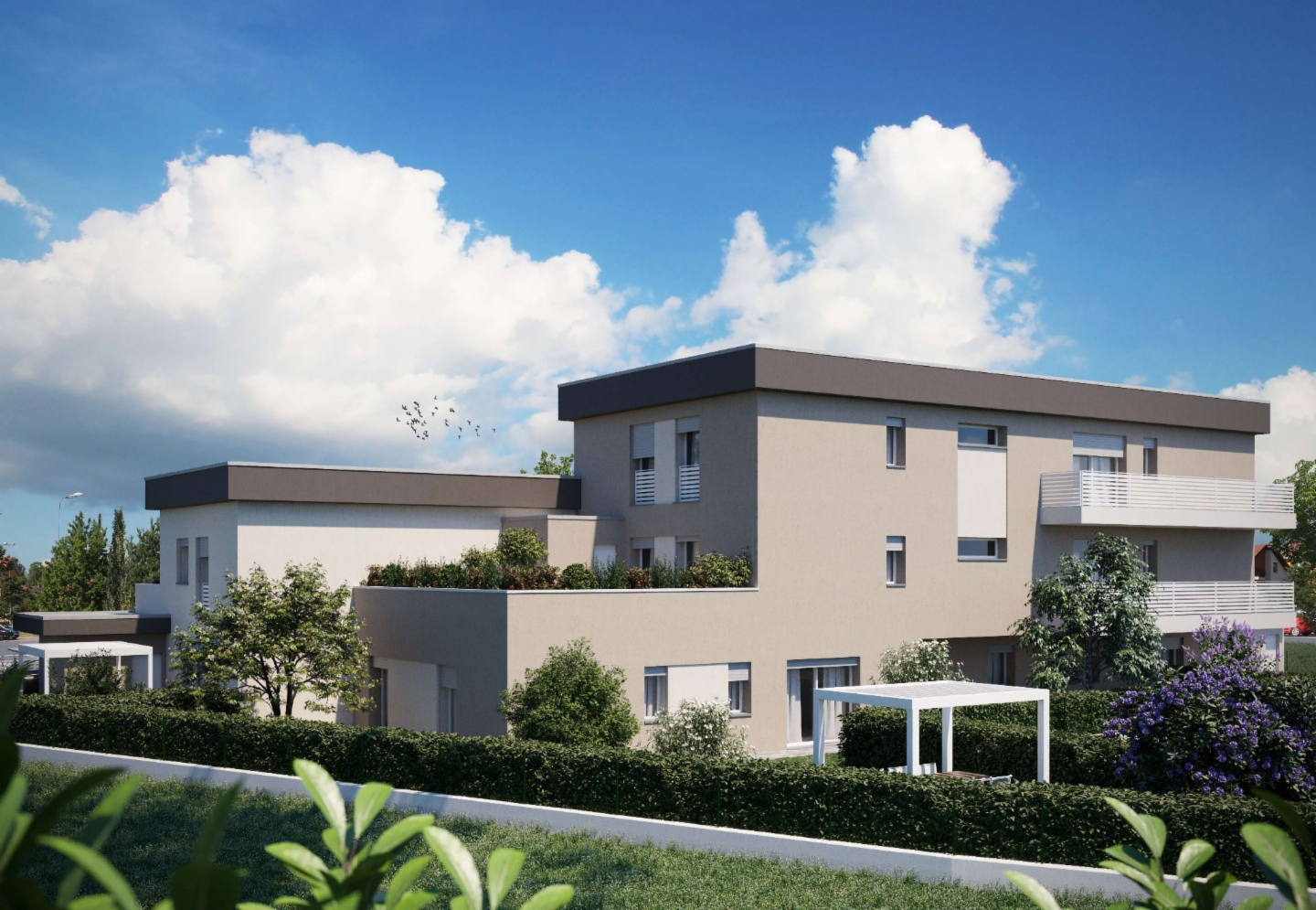 immagine annuncio 9 di 10